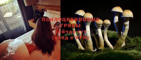 mdpv Абдулино