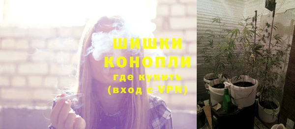 прущие грибы Абинск