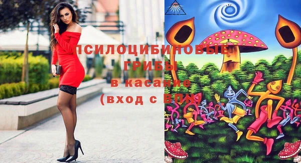 прущие грибы Абинск